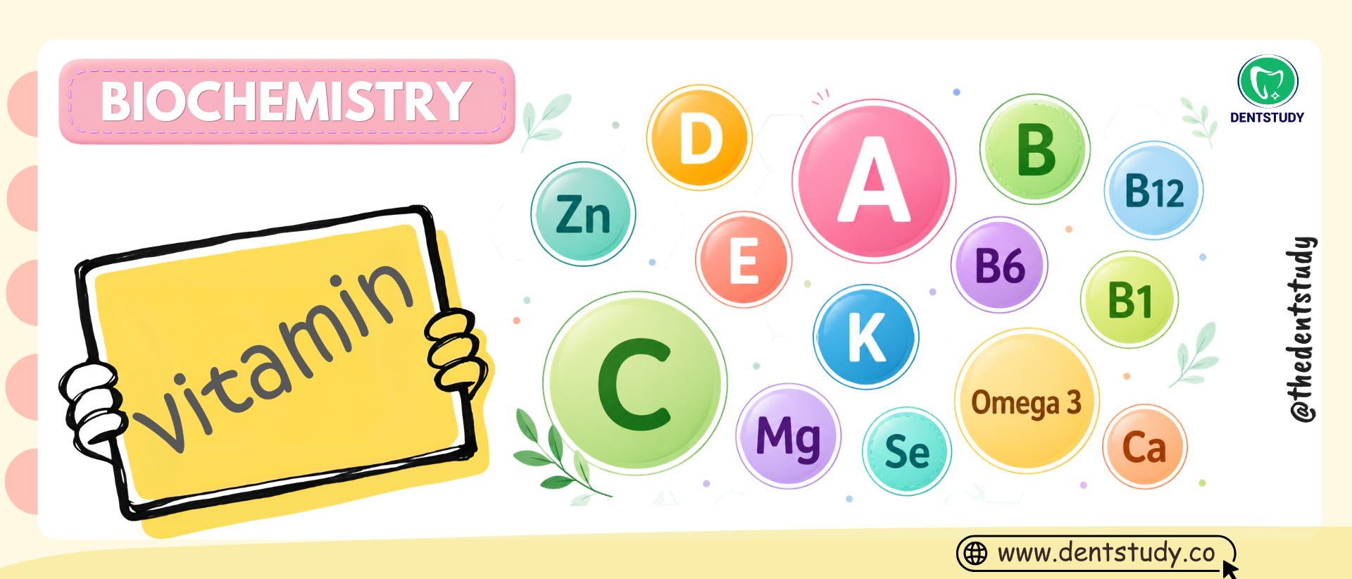 IMPORTANT SOLVED QUESTION AND ANSWER ABOUT VITAMINS IN BIOCHEMISTRY