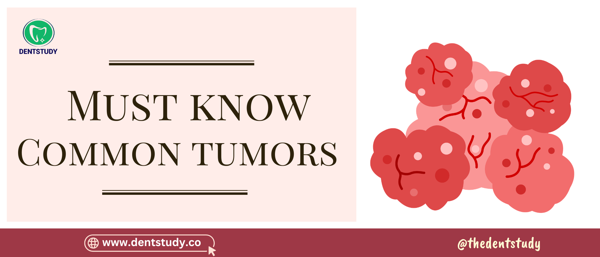 IMPORTANT DENTAL TUMORS