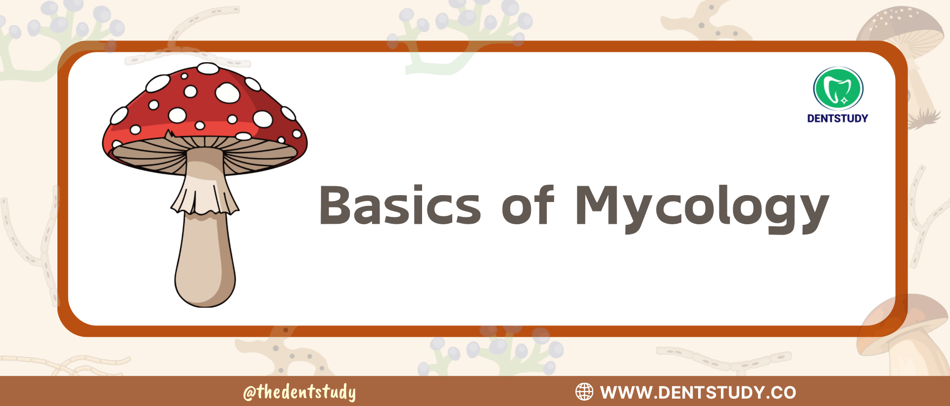 Mycology : A Brief Description