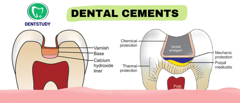 “Mastering the Viva: Important Questions & Answers for Conservative Dentistry and Endodontics”