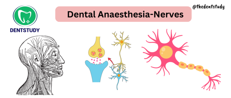 DENTAL  ANESTHESIA – Nerves  and Doses