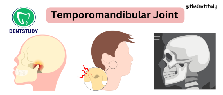 TEMPOROMANDIBULAR JOINT